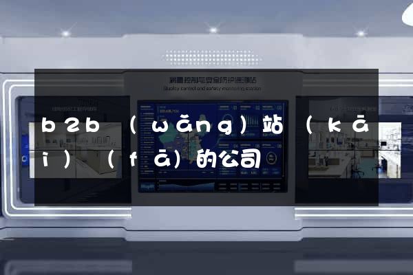 b2b網(wǎng)站開(kāi)發(fā)的公司