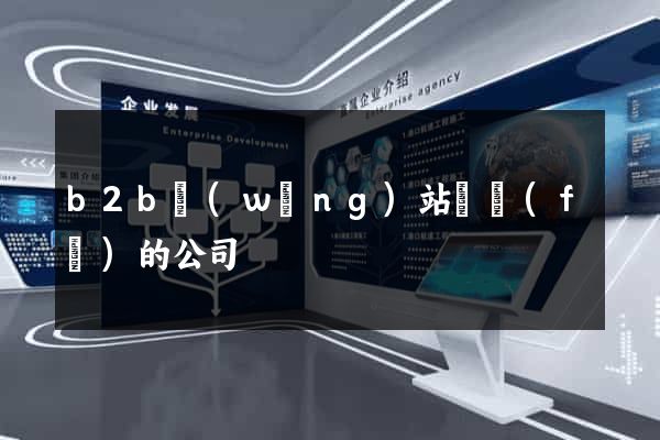b2b網(wǎng)站開發(fā)的公司
