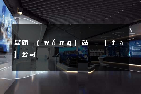 昆明網(wǎng)站開發(fā)公司