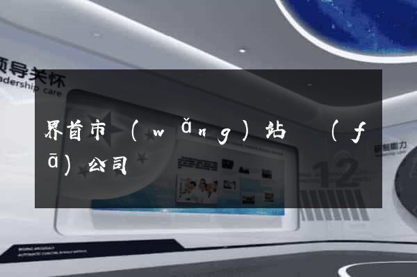 界首市網(wǎng)站開發(fā)公司